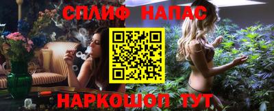 Альфа ПВП Гатчина