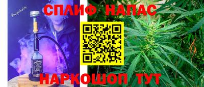 МДПВ Беслан