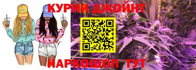 Альфа ПВП Гатчина