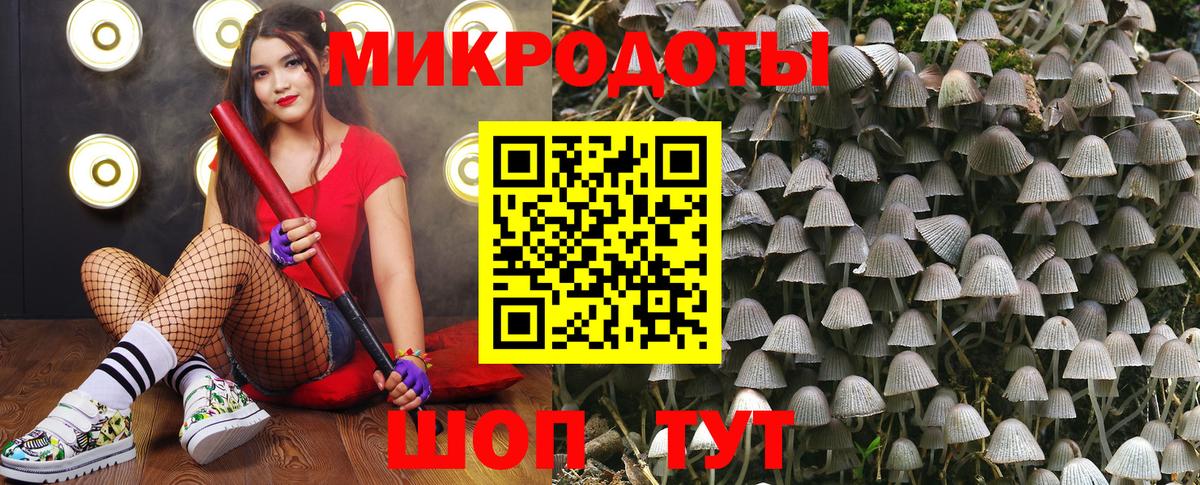 Галлюциногенные грибы мицелий  Галлюциногенные грибы GOLDEN TEACHER  магазин  наркотиков  Златоуст 