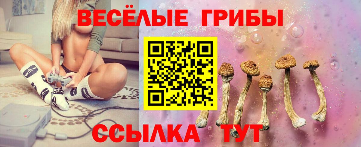 Псилоцибиновые грибы Psilocybine cubensis Златоуст